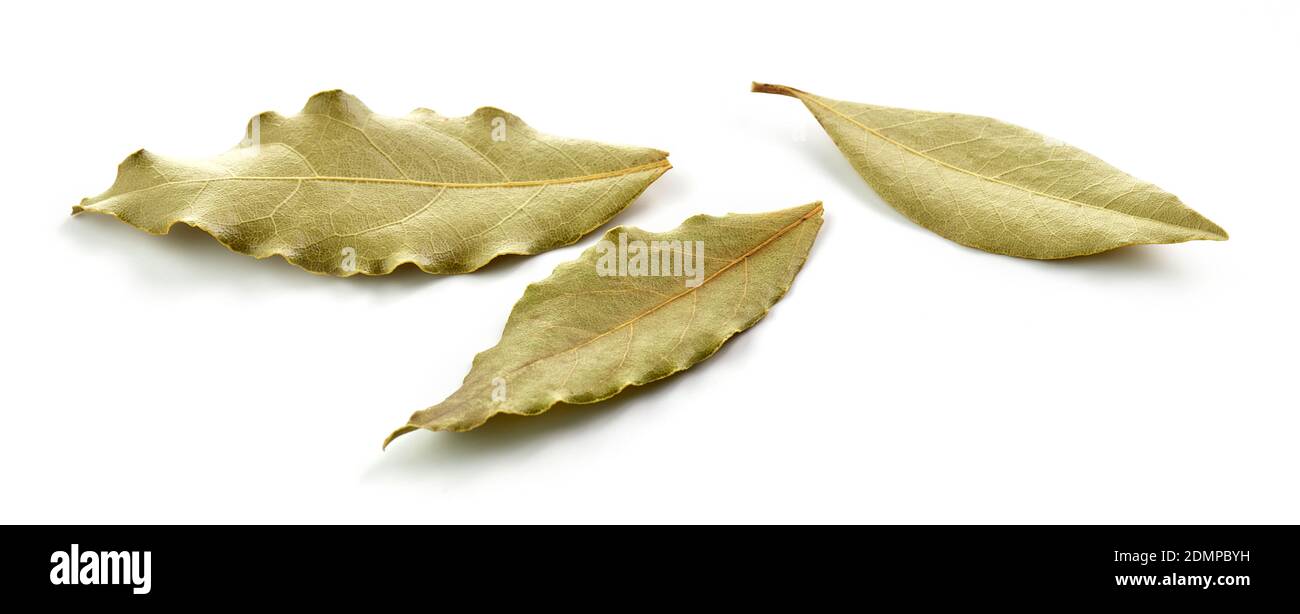 dried bay leaves isolated on white background Stock Photo Alamy