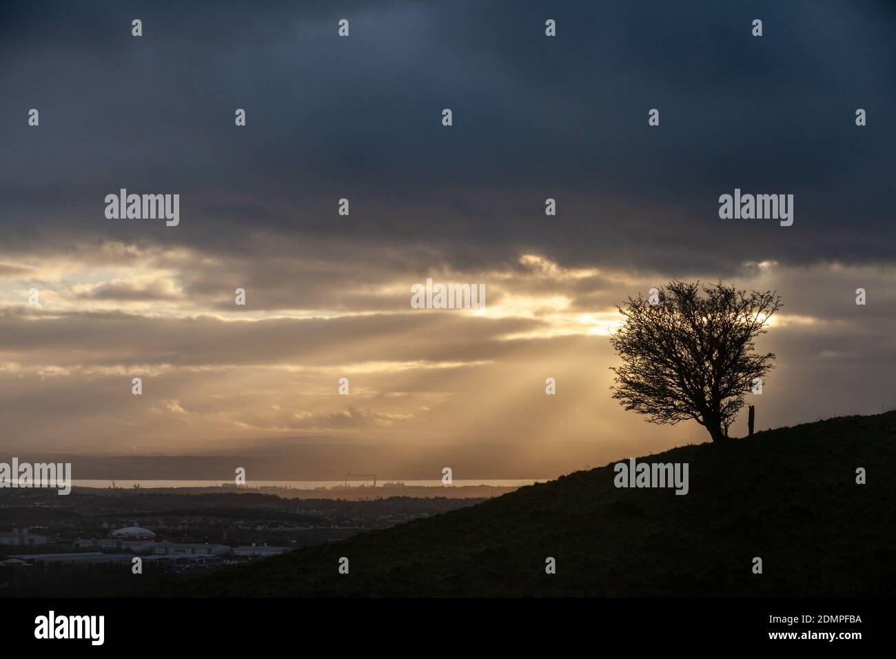 A single tree on the Hill of Beath over looking the Firth Of Forth with a dramatic sky, Fife, Scotland Stock Photo