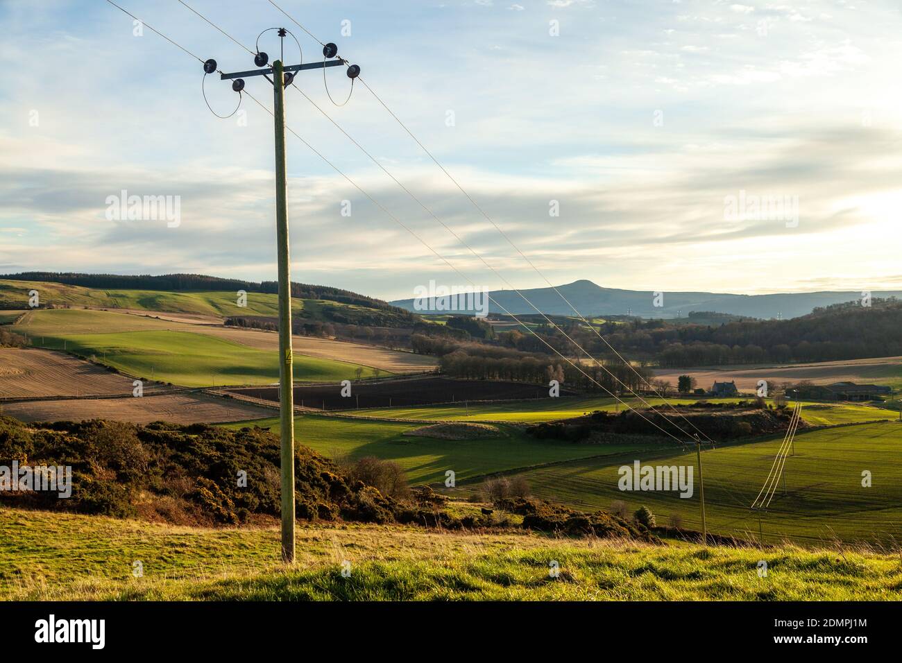 Telephone post and wires in a rural Fife landscape near Newburgh. Stock Photo