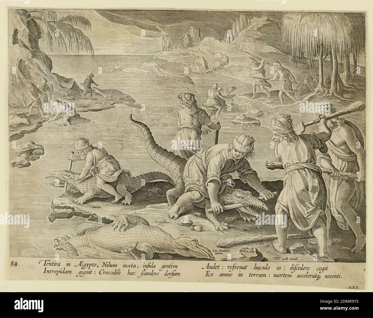 Соберите эстампы в чешуйчатом. Соберите эстампы в чешуйчатом. Рыбы гравюра, линогравюра. Линогравюра цветы. Китайский дракон рельеф.