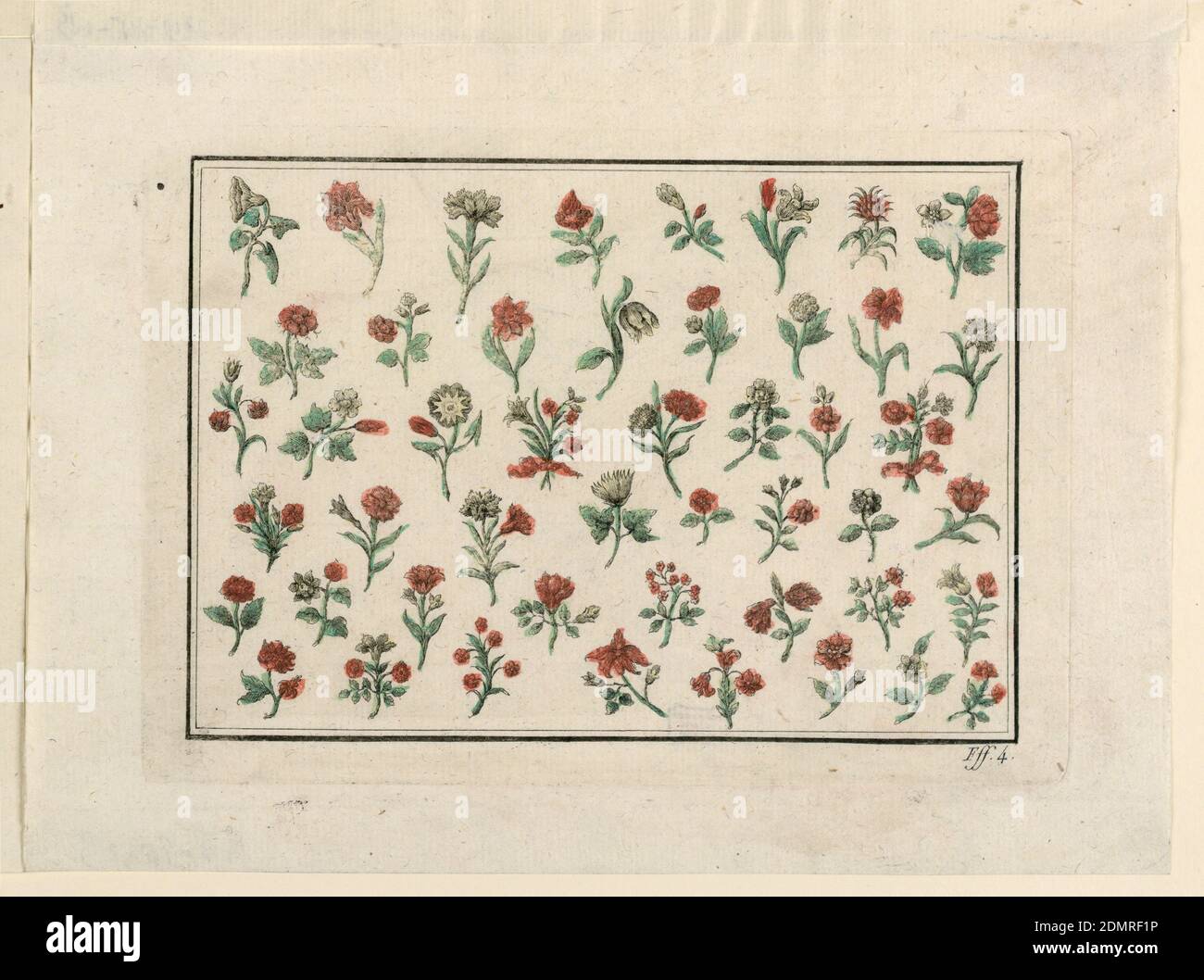 Flowers, Hand colored engraving, brush and red, green, and yellow watercolor on paper, Forty-eight branches with flowers, disposed in six lines. Two bordering lines, engraved., Germany, 1775-1800, Print Stock Photo