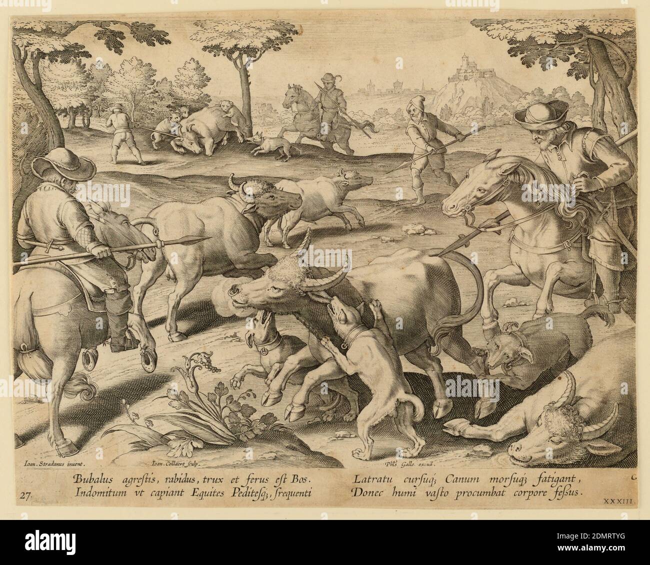 Buffalo Hunt, plate 27 in the Venationes Ferarum, Avium, Piscium series, Jan van der Straet, called Stradanus, Flemish, 1523–1605, Jan Collaert II, Flemish, 1560 - 1628, Philips Galle, Flemish, 1537 - 1612, Engraving on paper, Horizontal rectangle. Hunters on horseback and on foot, armed with spears, have surrounded a group of oxen. The hunters' dogs attack one animal, foreground. At lower left: 'Ioan Stradanus invent. Ioan. Collaert Sculp.' At right: 'Phls. Galle excud.' Below: 'BUBALUS AGRESTIS, RABIDUS, TRUX ET FERUS EST BOS...', Netherlands, 1596, figures, Print Stock Photo