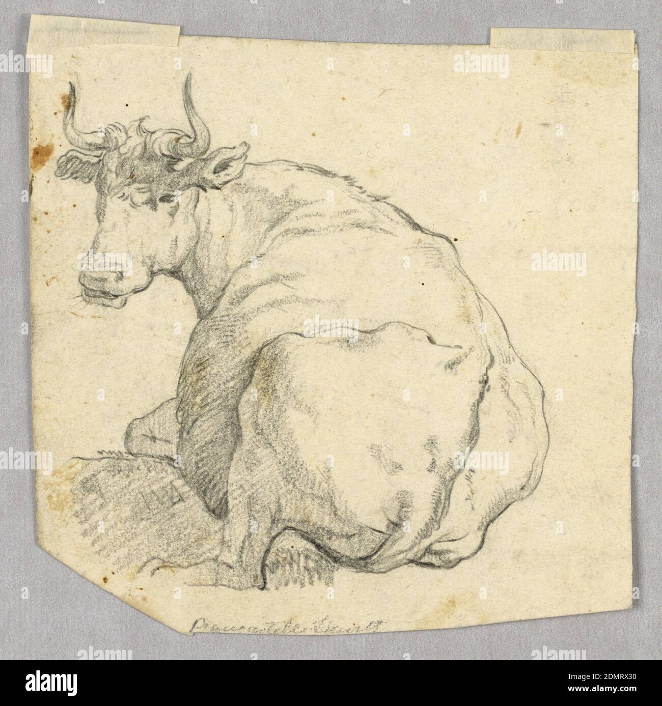 Study of a Cow, Black crayon on paper, View of a cow oriented away from the viewer but turning to look back., Italy, 18th century, nature studies, Drawing Stock Photo