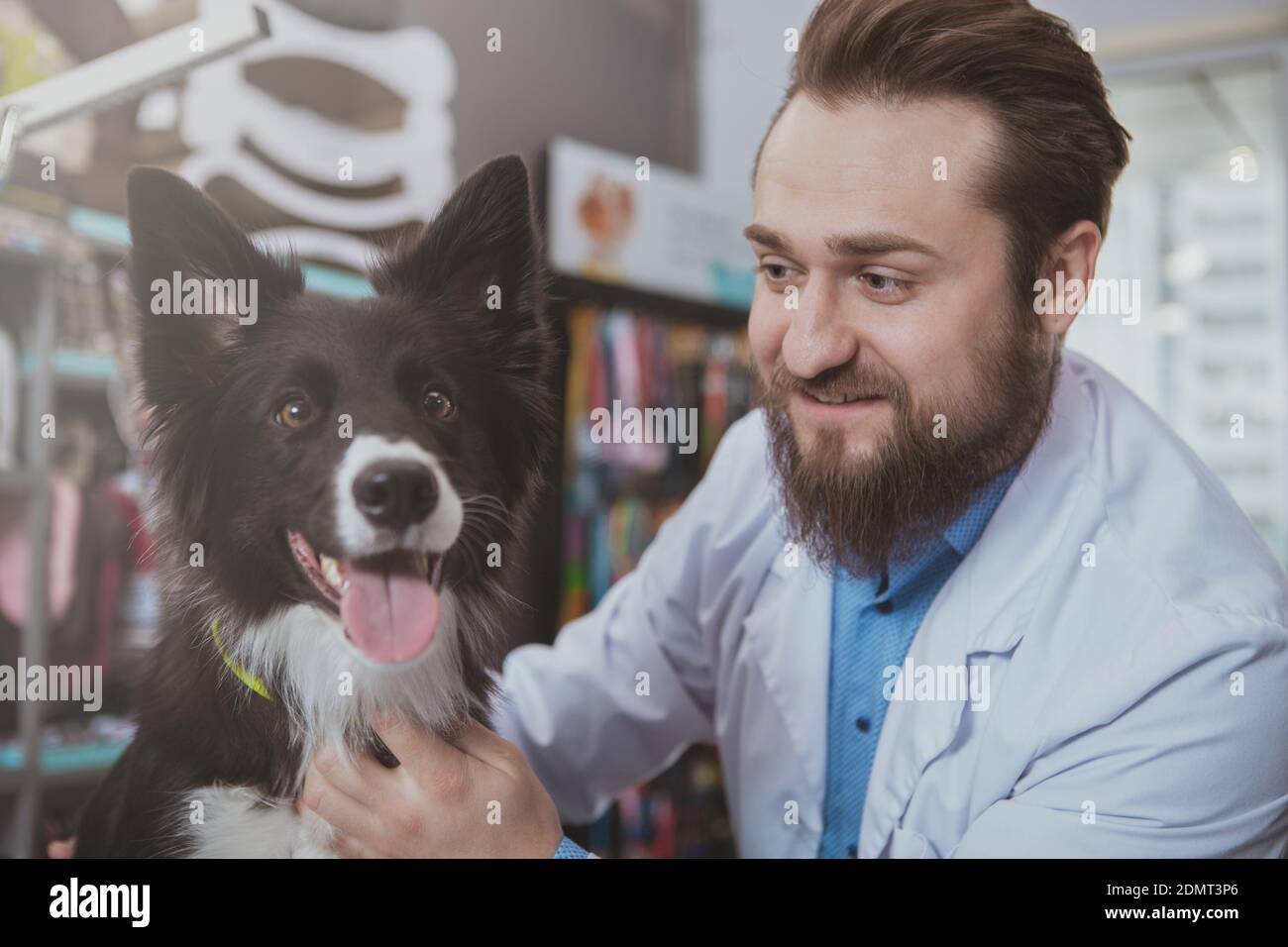 Close up of a cheerful vet doctor smiling at cute happy healthy dog