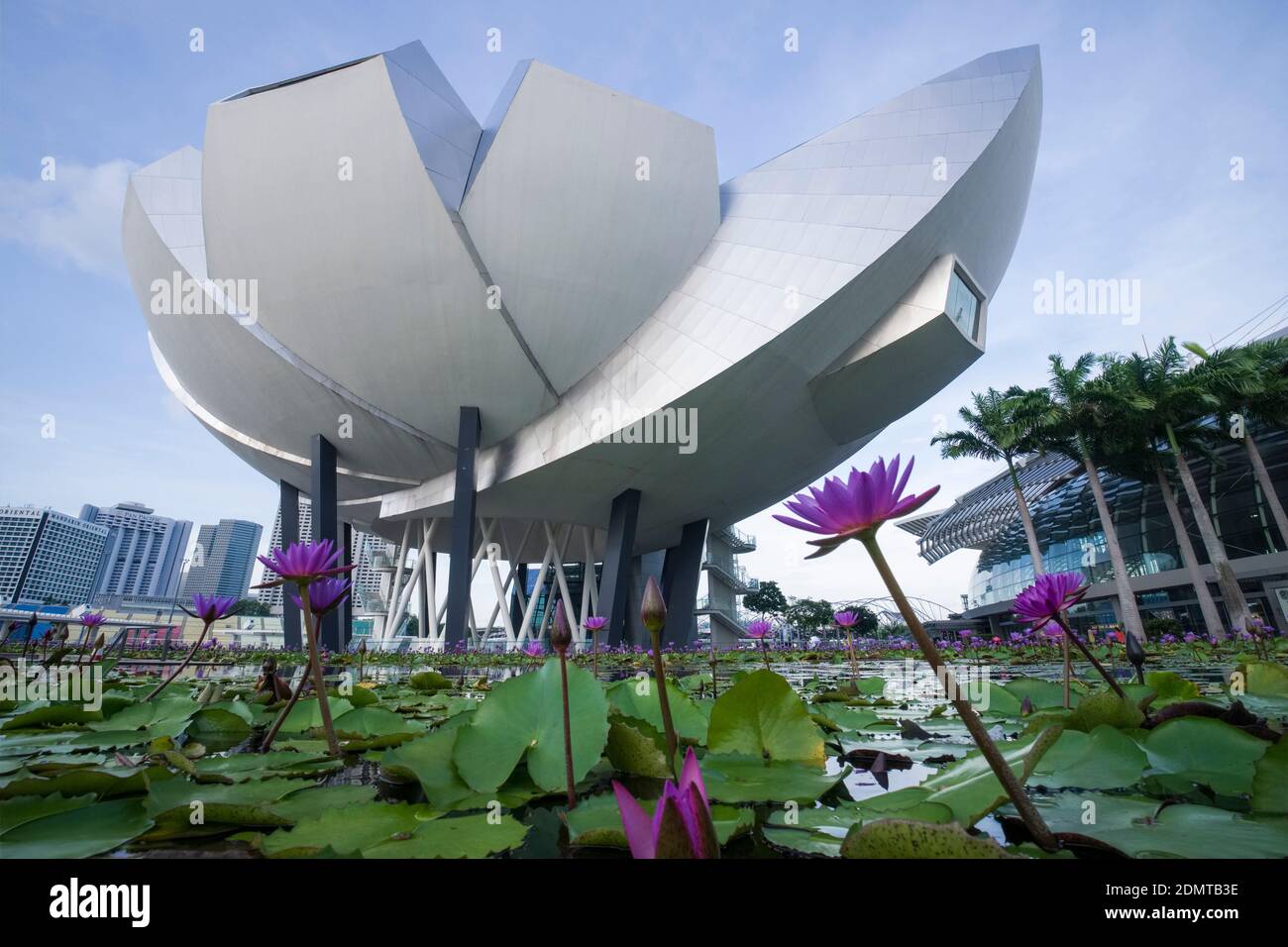 Singapour: ArtScience Museum, Marina Bay Sands Stock Photo