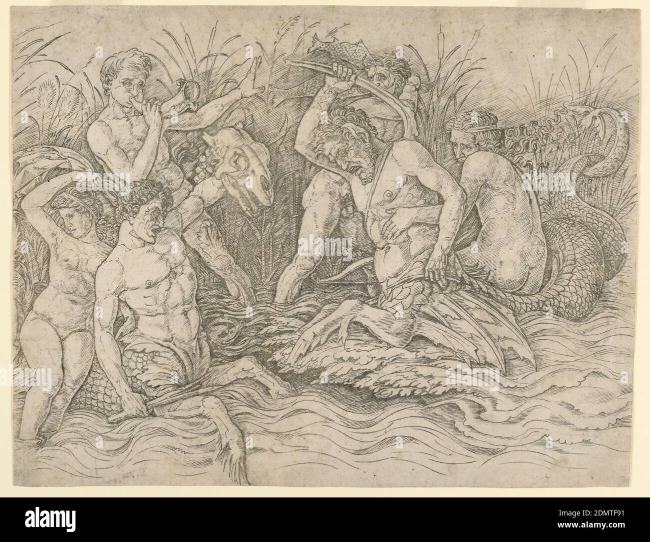 Battle of the Sea Gods, right half, Andrea Mantegna, Italian, ca. 1431 - 1506, Engraving on laid paper, In marshy shallows, three male sea gods battle each other and two water satyrs. The water satyr on the left, armed with a club and a monster's head, is carrying a sea nymph on his back, who looks away from the battle in fear. The sea satyr on the right is armed with a hatchet and struggles to resist the grip of a sea god behind him. Meanwhile, another sea god blows a horn to rouse the spirits of the fighters, while the third is whacking left-and-right at the sea-satyrs with two fish. Stock Photo