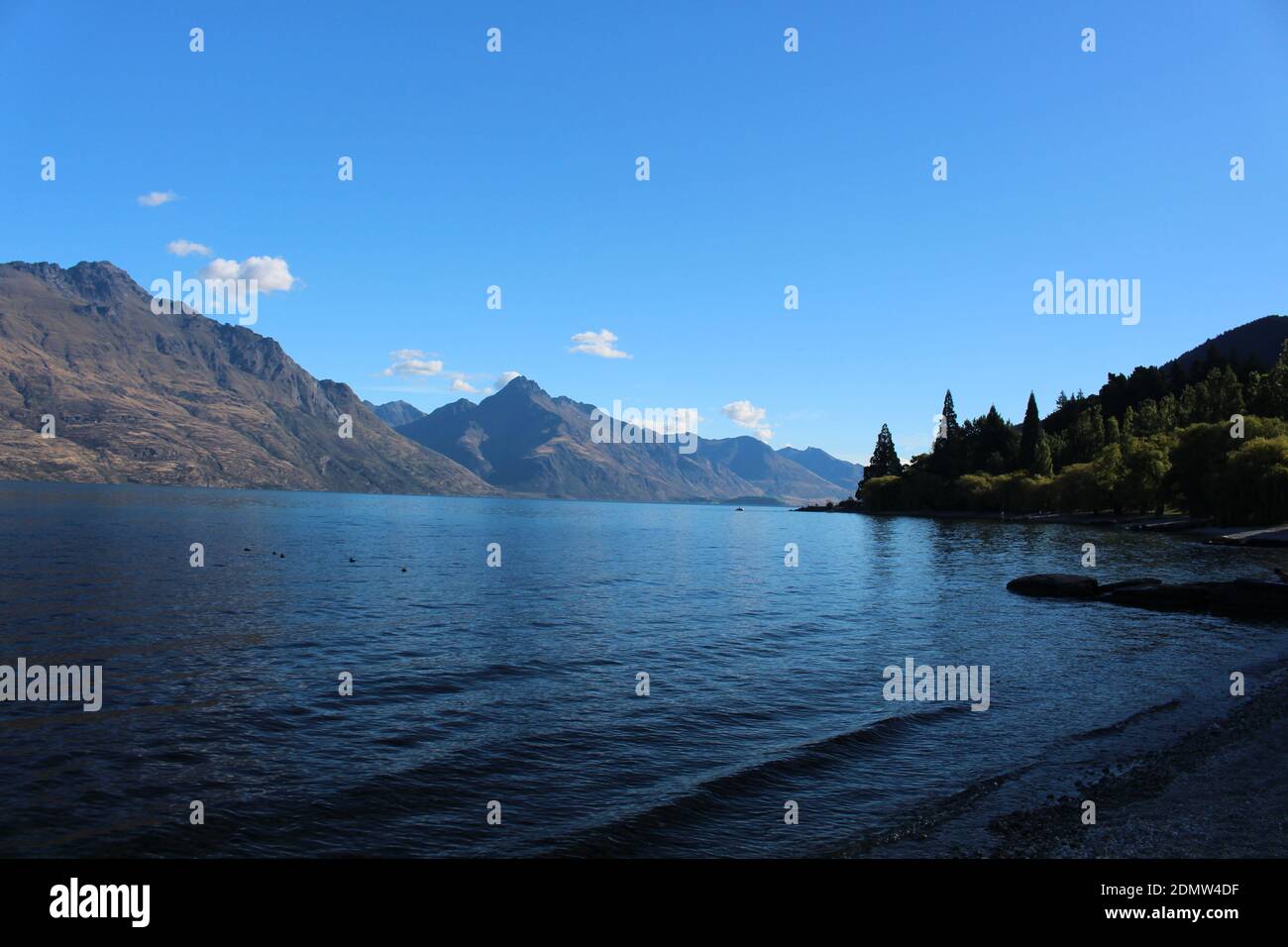Lake Wakatipu New Zealand South Island of New Zealand Stock Photo - Alamy