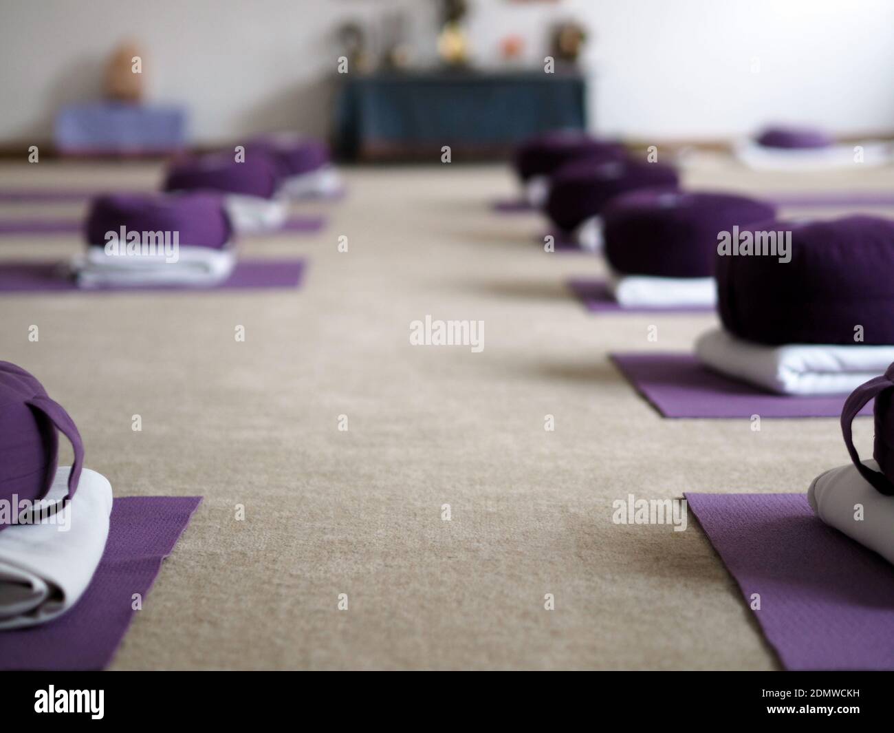 Equipment On Carpet At Yoga Studio Stock Photo Alamy