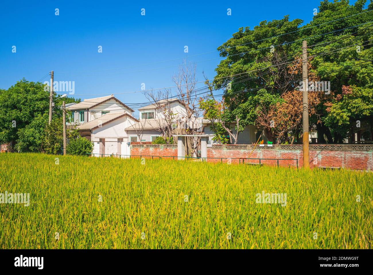 Taichung Qingshui art village in taichung city, taiwan Stock Photo Alamy