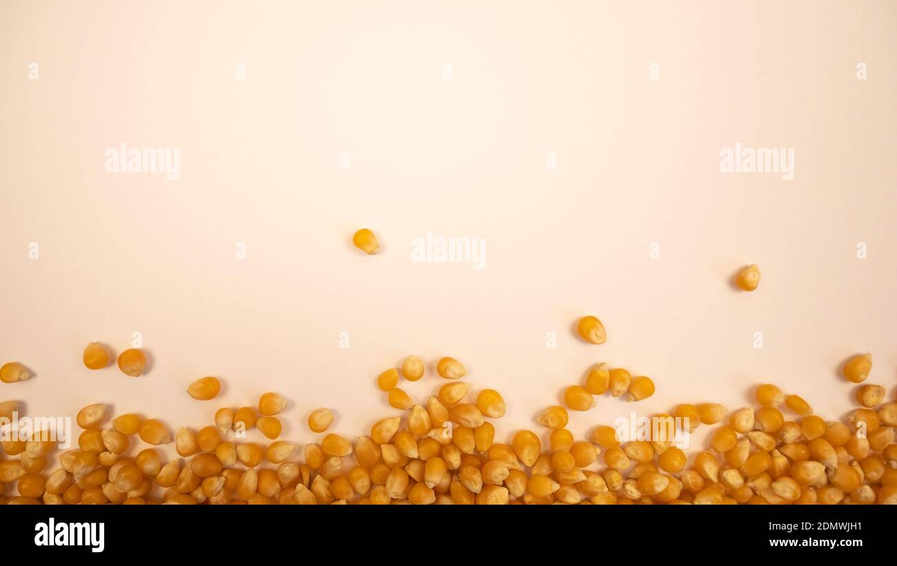 Pop corn maize frame. Dry popcorn. Healthy eating. Yellow grain