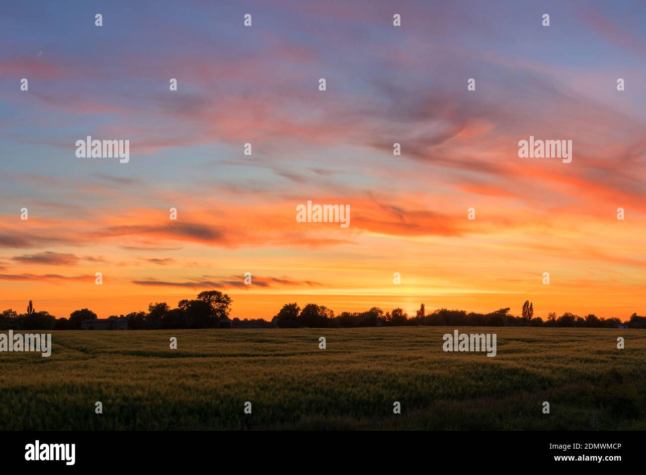 Summer sunset over fields Stapleford, Cambridge, UK Stock Photo