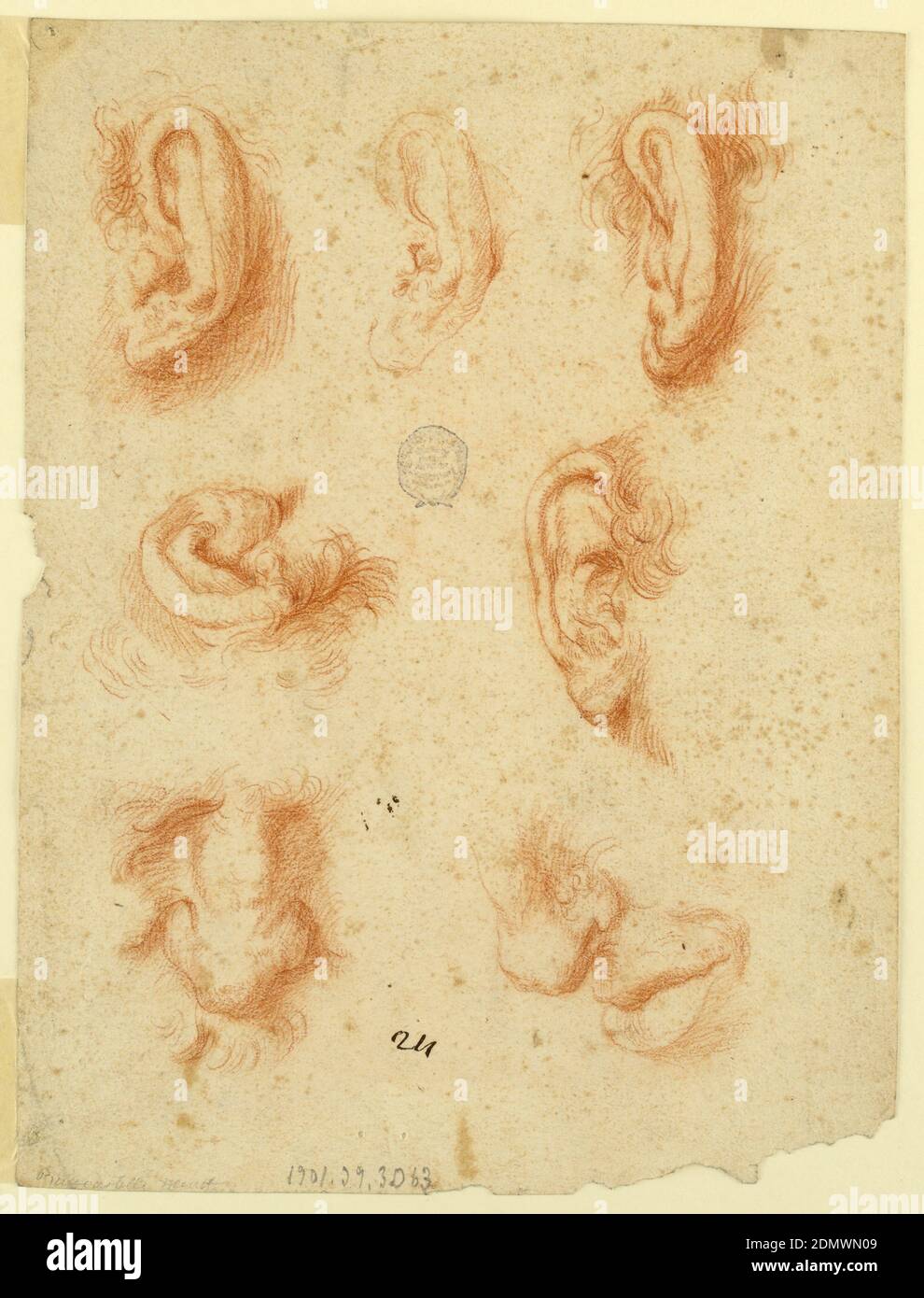 How To Draw A Left Ear