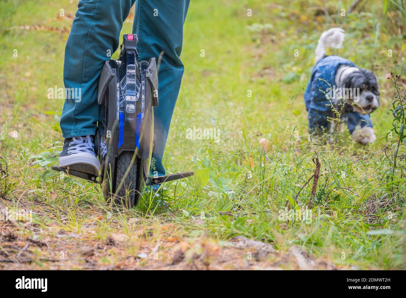 Electric dog walker hot sale