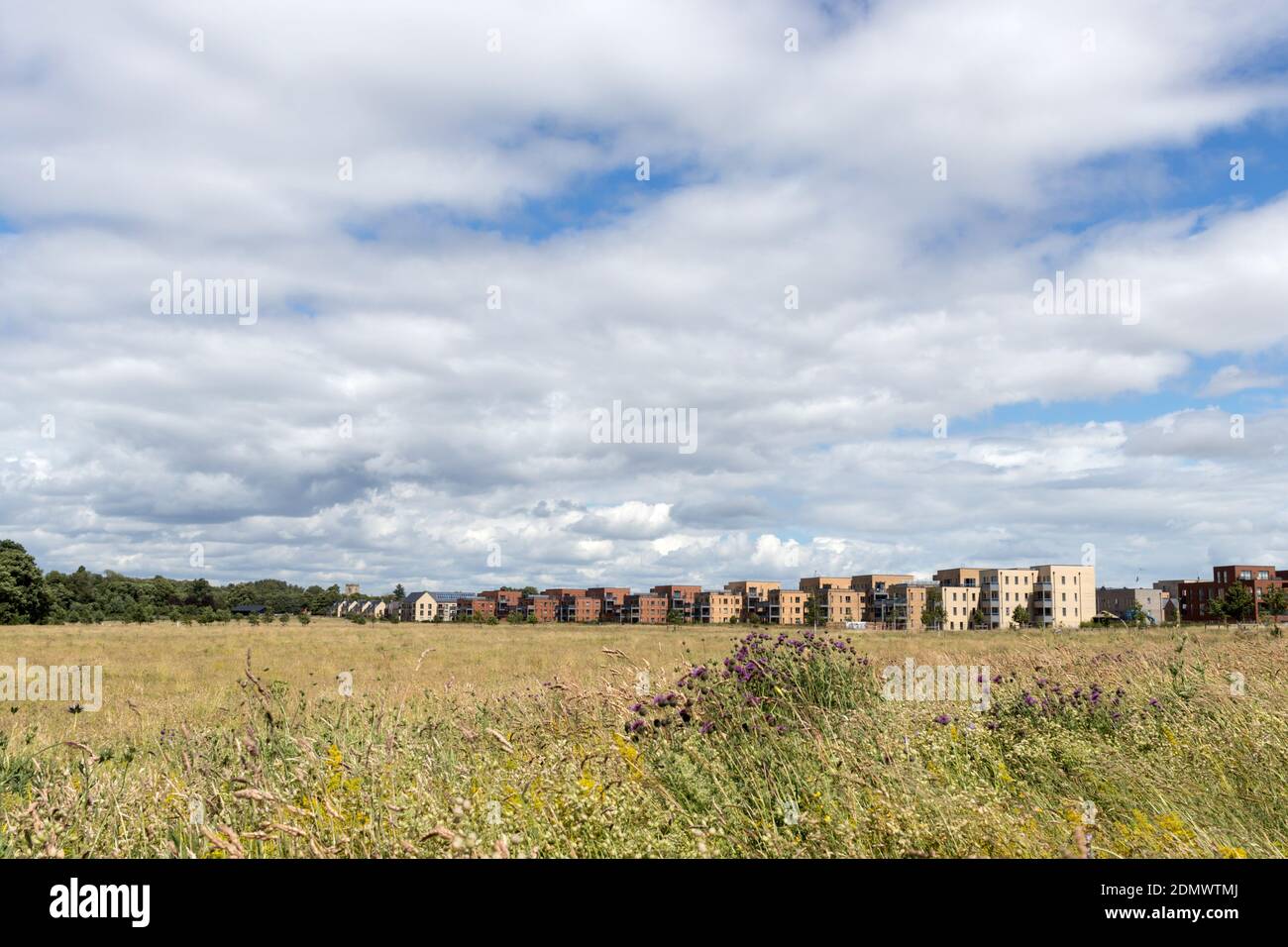 Trumpington Meadows, Nature Reserve, Cambridgeshire, Cambridge Stock Photo