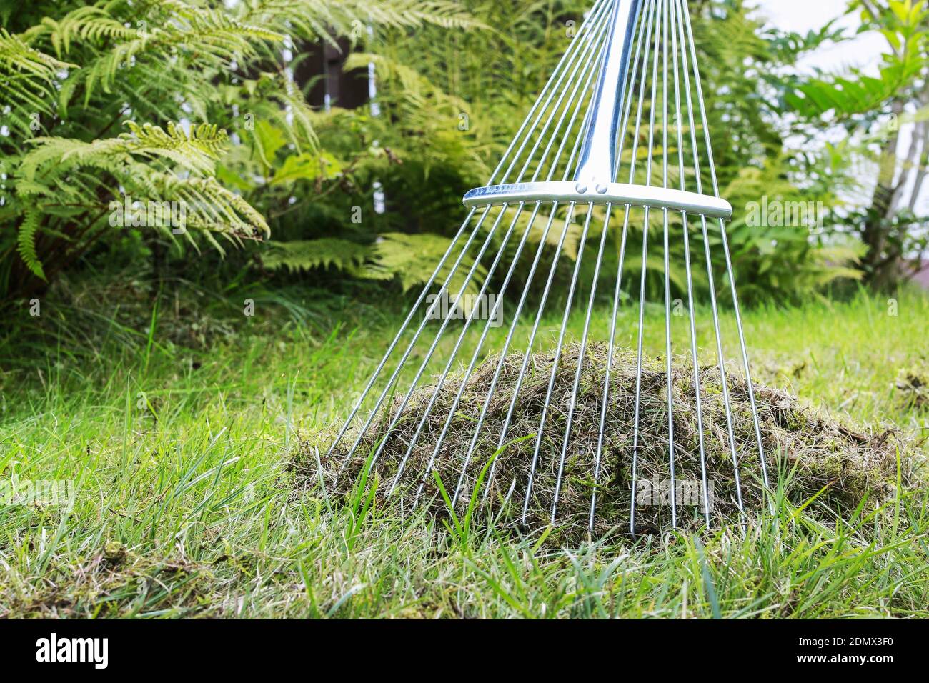 Lawn raking. Work in the garden. Autumn time Stock Photo Alamy