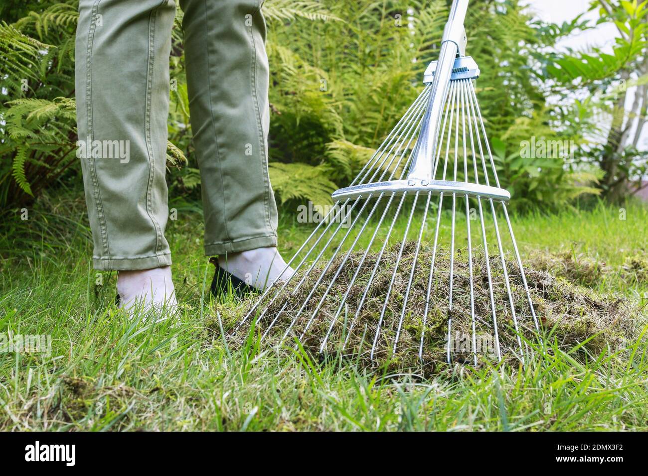 Lawn raking. Work in the garden. Autumn time Stock Photo Alamy