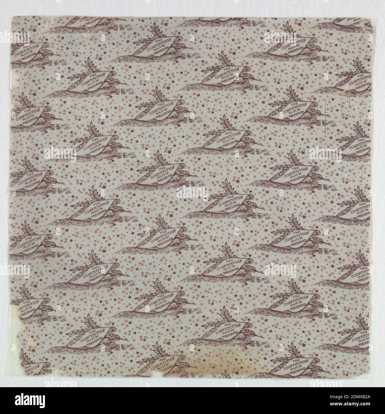California Whale tan tee California Whale tan tee