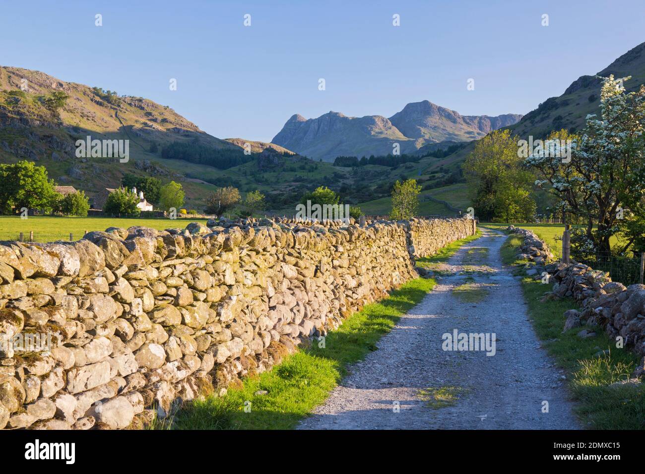 Little Langdale, Cumbria, England. View to the Langdale Pikes from track beside typical dry stone wall, early morning. Stock Photo