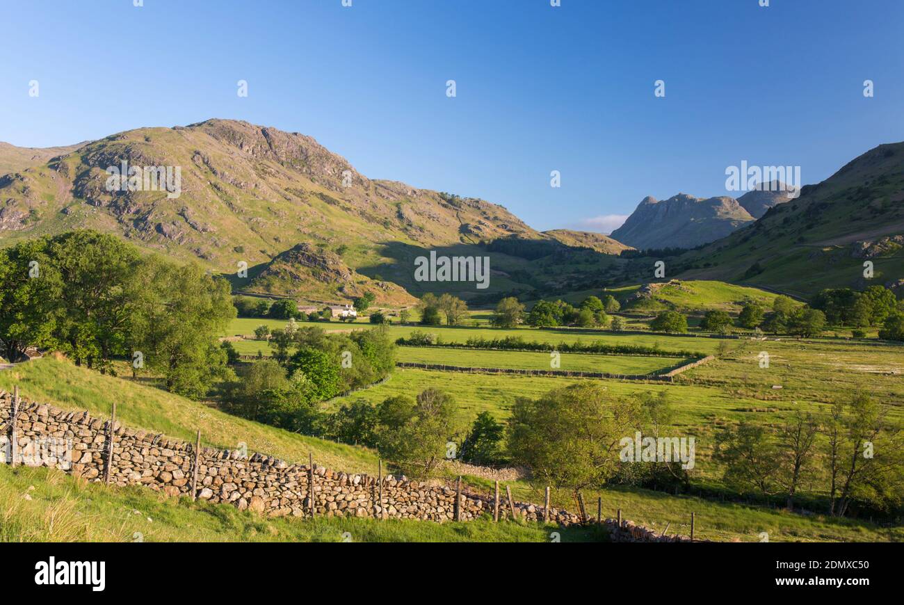 Little Langdale, Cumbria, England. View across green fields to Wrynose Fell and the Langdale Pikes, early morning. Stock Photo