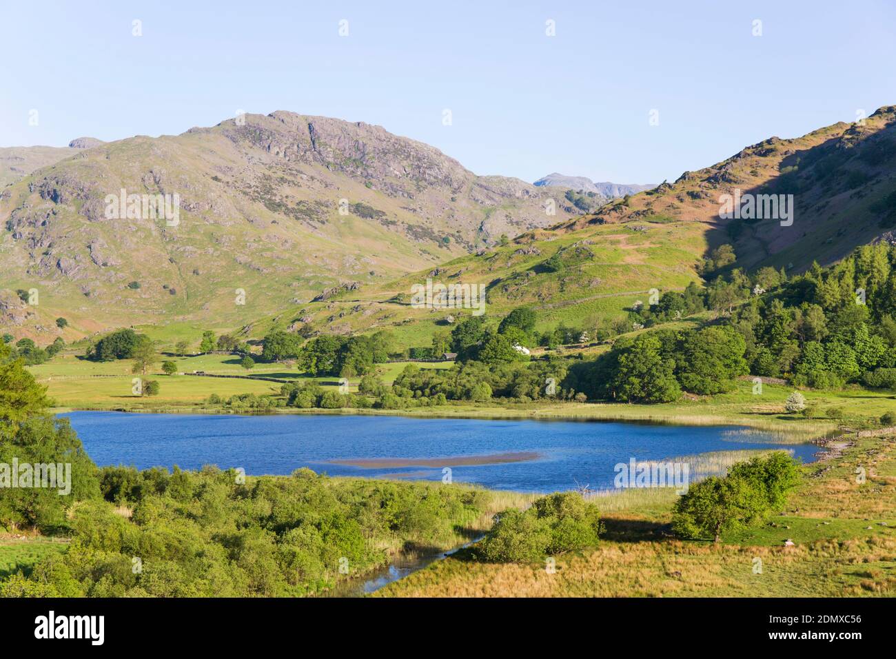Little Langdale, Cumbria, England. View across Little Langdale Tarn towards Wrynose Fell, early morning. Stock Photo