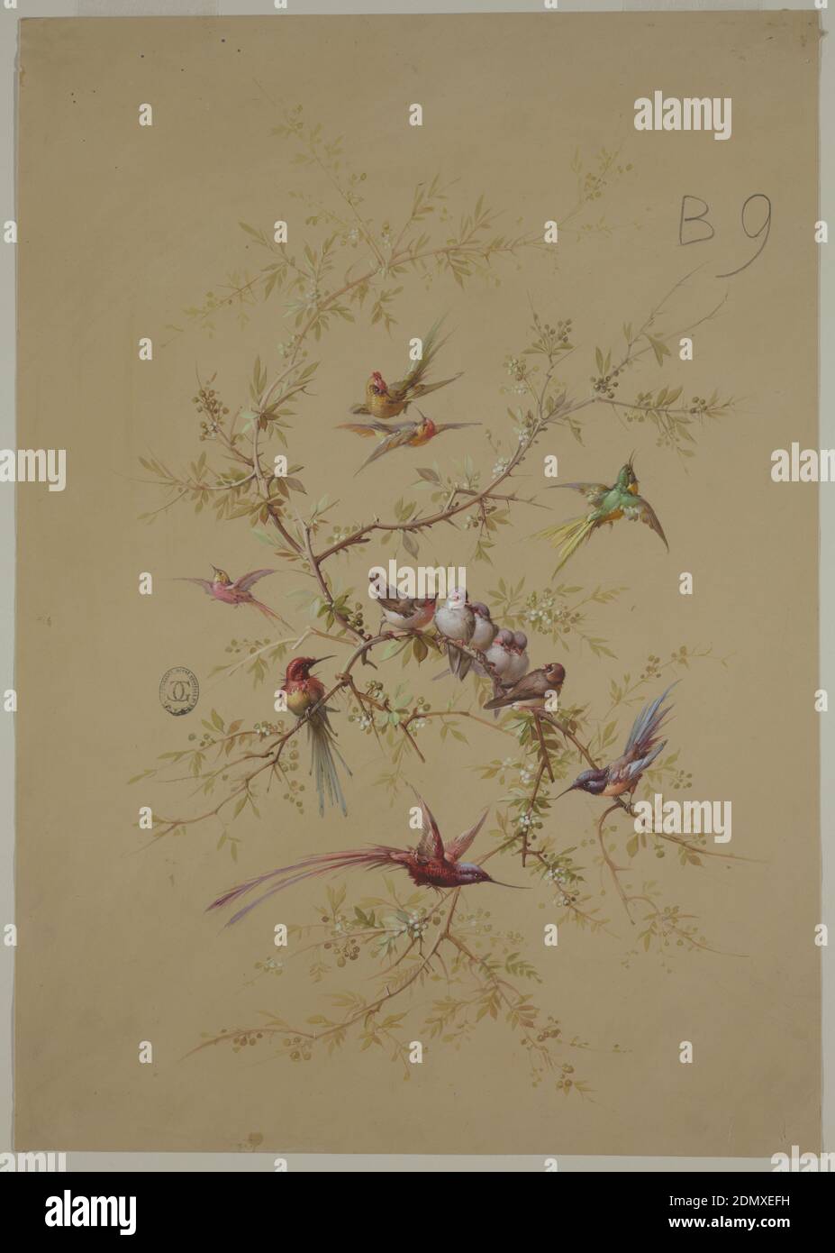Design for Wallpaper and Textile: Flowers and Birds, Brush and gouache on cream paper, Branches with foliage, berries and birds perched and flying around them. Composition organized in a vertical oval shape., France, 19th century, wallpaper designs, Drawing Stock Photo