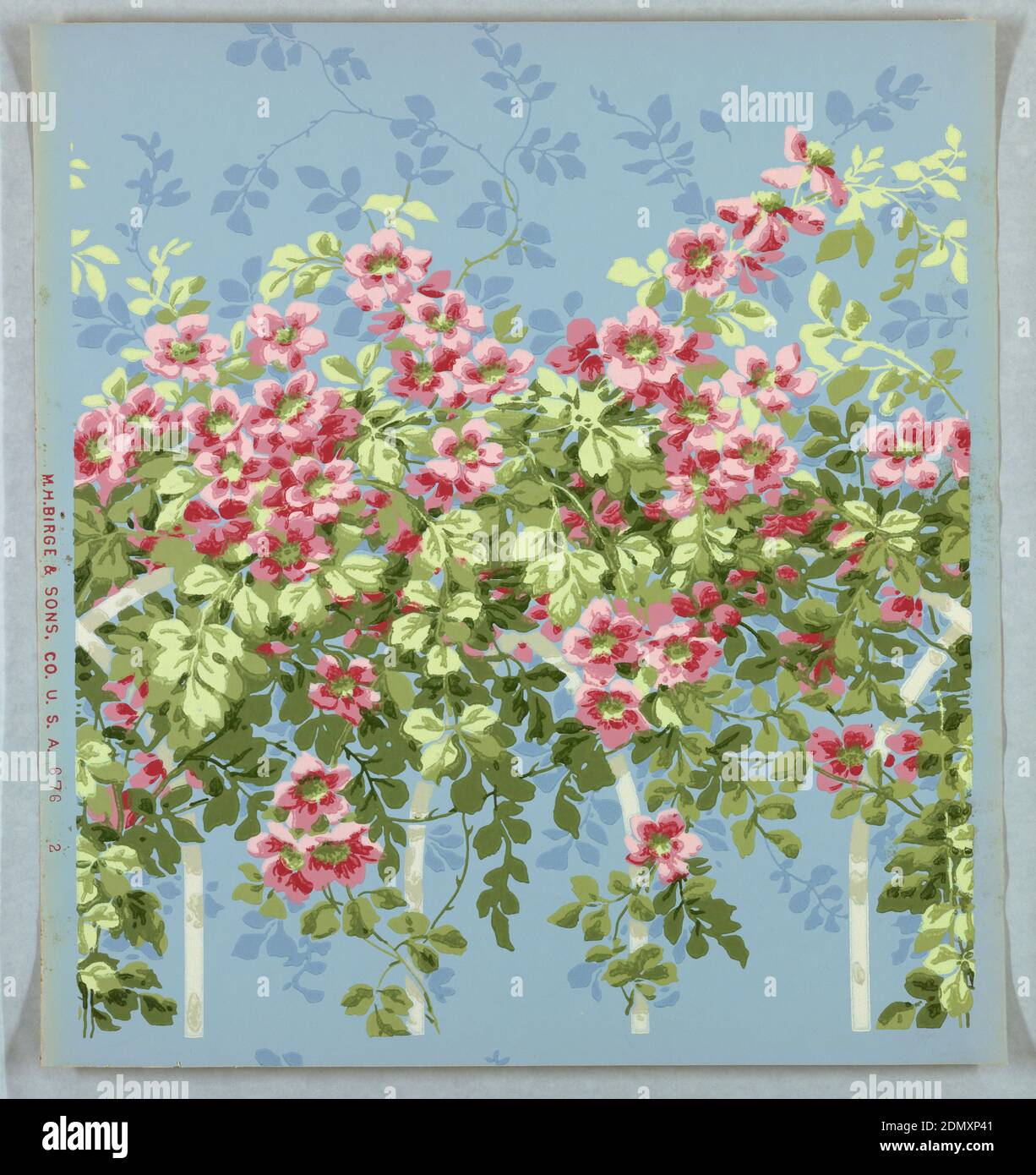 Sidewall, Machine-printed paper, Top portion of trellis panel: on light blue ground, pink wild roses and foliage on white trellis., Buffalo, New York, USA, 1890–1920, Wallcoverings, Sidewall Stock Photo