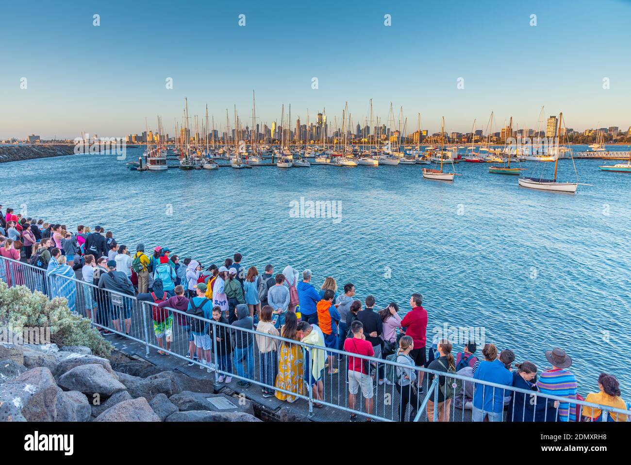 Little blue penguins sunset hi-res stock photography and images - Alamy