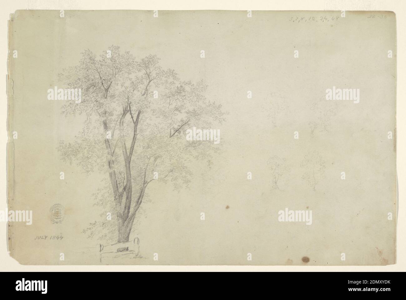 Trees, Frederic Edwin Church, American, 1826–1900, Black crayon on paper, Horizontal view of a maple tree behind a fence at left and four very slight sketches of trees at right., USA, July 1844, nature studies, Drawing Stock Photo