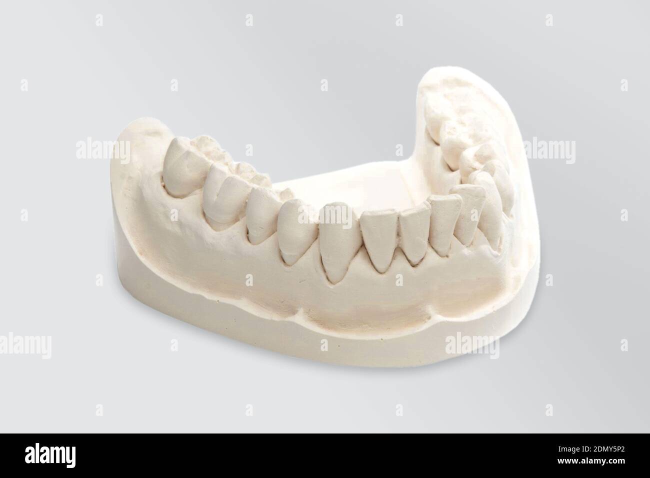 Teeth Mold  Dentalshop Com
