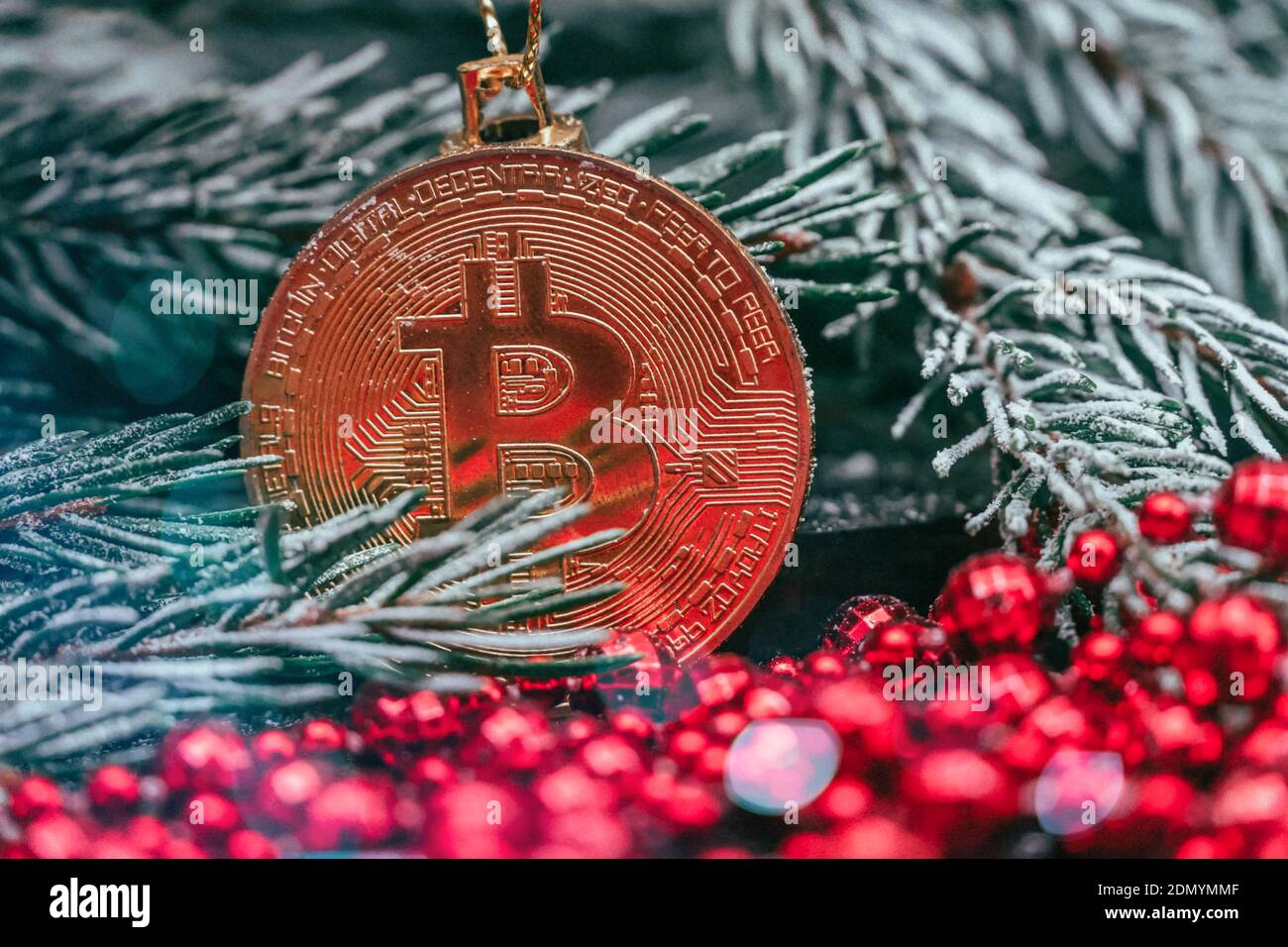 Gold bitcoin hanging on a snowy branch of a Christmas tree with red beads  close-up. Beautiful Christmas, new year background with bitcoin Stock Photo  - Alamy