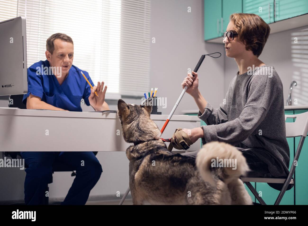 Professional veterinarian at work, examining a guide dog in his office Stock Photo Alamy