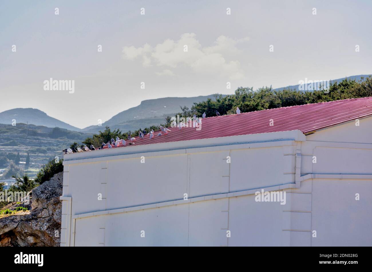 Doves On Roof Top. A group of pigeons resting on house. Copy Space. Stock Image. Stock Photo