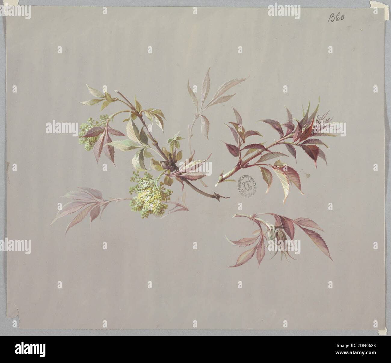 Design for Wallpaper and Textiles: Flowers, Brush and gouache on cream paper, Five branches all facing outward in all directions. From left: light brown branch with foliage, brown branch with green foliage Design for Wallpaper and Textiles: Flowers, Brush and gouache on cream paper, Five branches all facing outward in all directions. From left: light brown branch with foliage, brown branch with green foliage