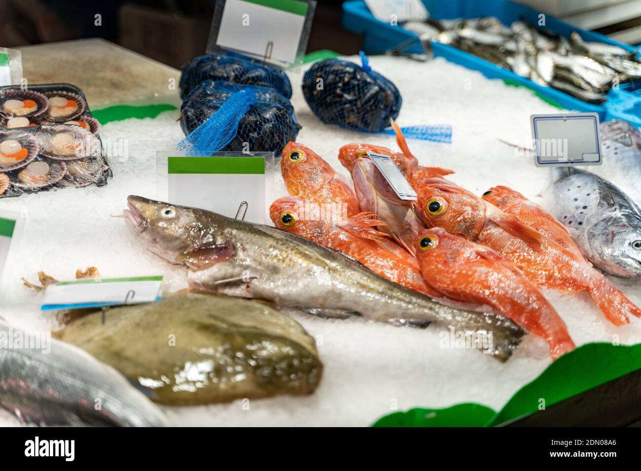 Different sorts of fresh fish on ice on counter at fish market in