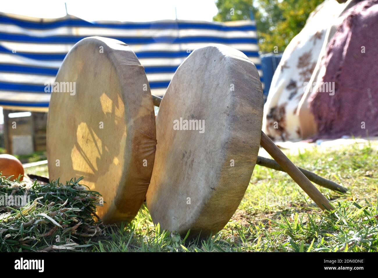 Drums and their sticks with two bunches of rosemary, inipi in the background. Stock Photo