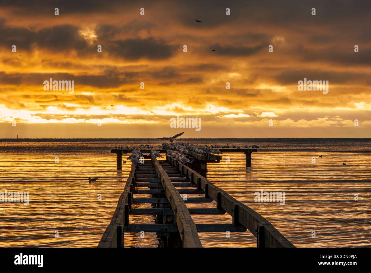 A beautiful golden sunset over an old boardwalk. Photo from Hallevik, Blekinge county, Sweden Stock Photo