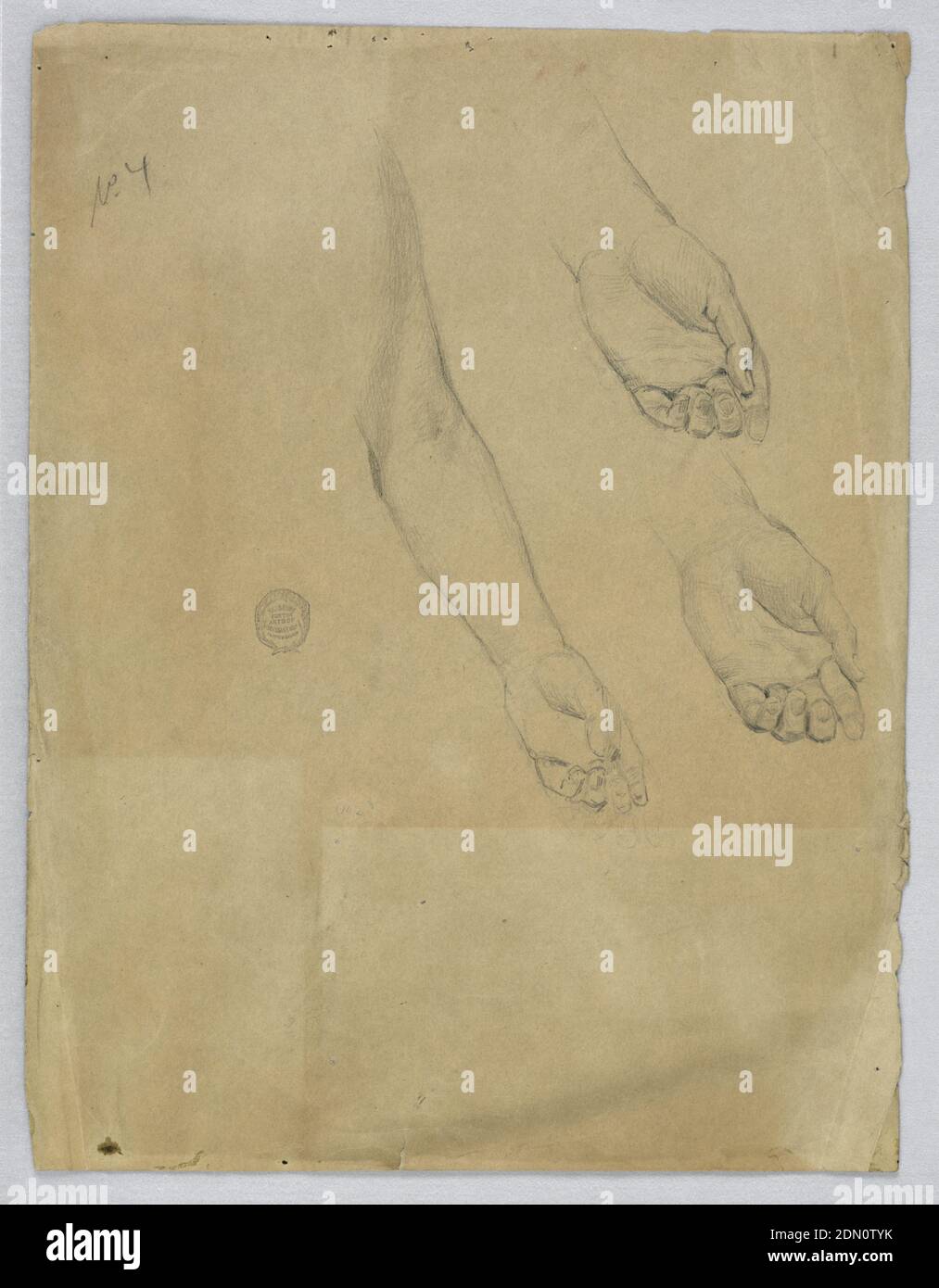 Three Studies of a Left Hand, Francis Augustus Lathrop, American, 1849 - 1909, Graphite on grey-brown paper, Hand with palm up, shown from center. To the right, two studies of the hand in almost the same position., USA, ca. 1895, figures, Drawing Stock Photo