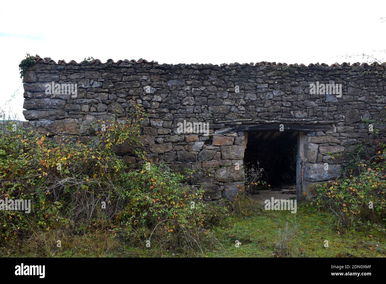 Old dry stone corral, surrounded by undergrowth. Stock Photo
