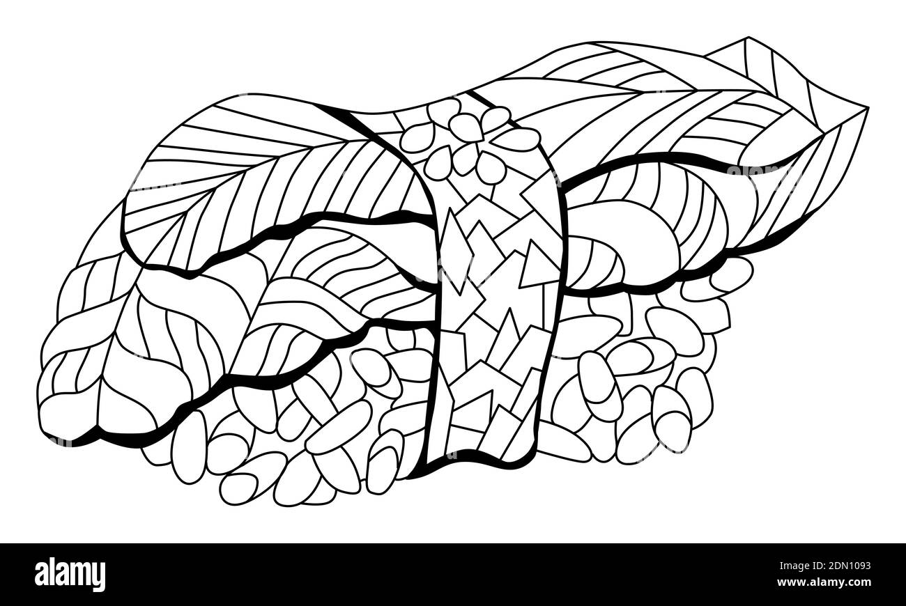 Hand drawn zentangle avocado nigiri for coloring, for t-shirt and other decorations Stock Vector