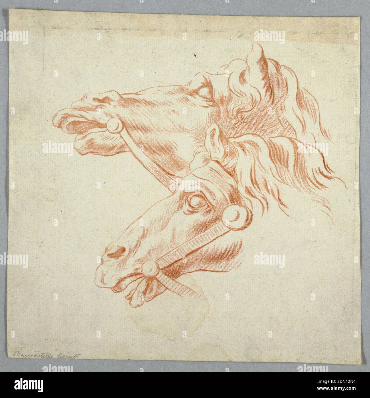 Horse Studies, Red crayon on paper, Two studies of horse heads with reins, both facing left., Italy, ca. 1815, nature studies, Drawing Stock Photo