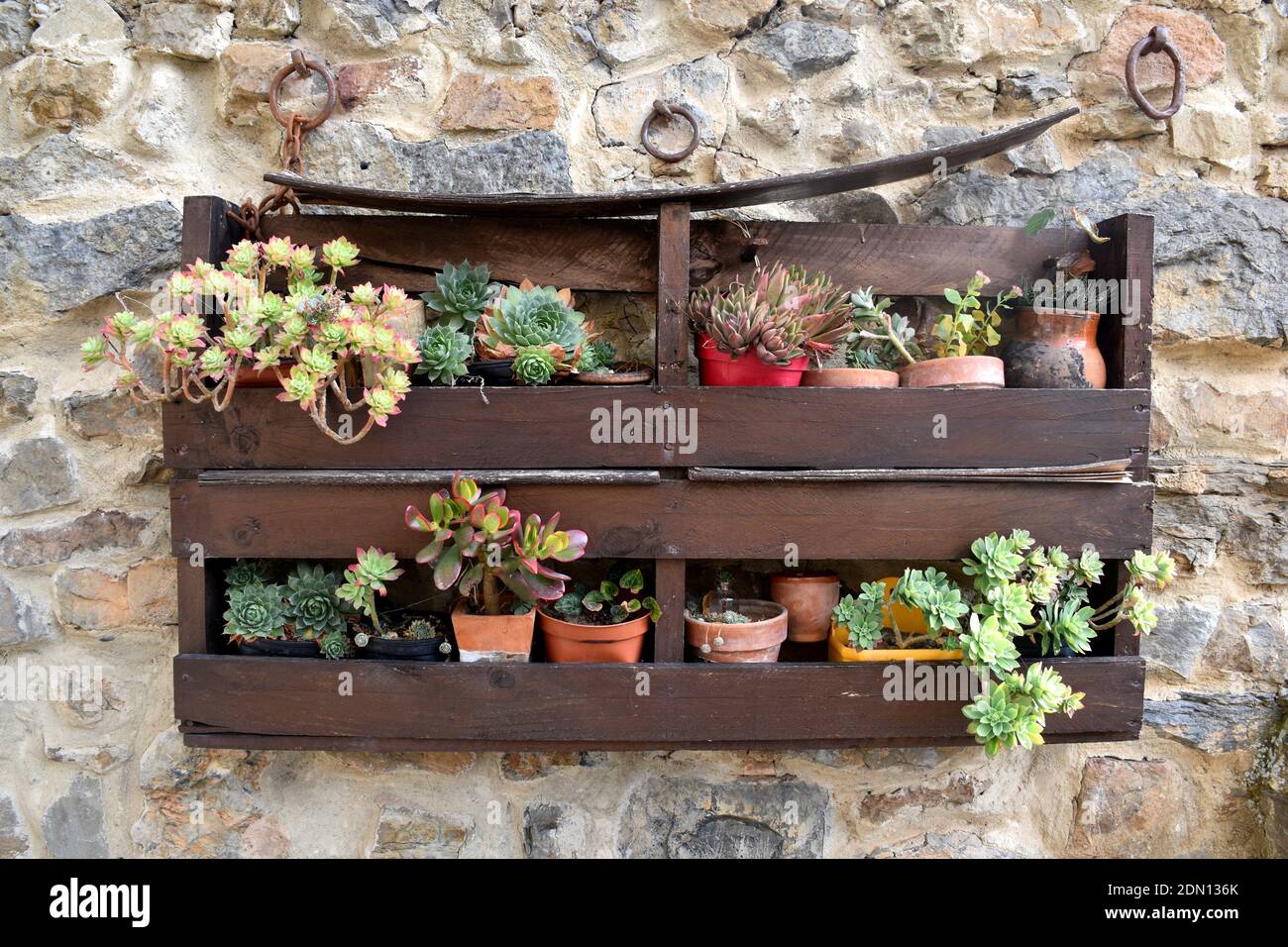 Wooden boxes used as a planter, pots with different varieties of plants