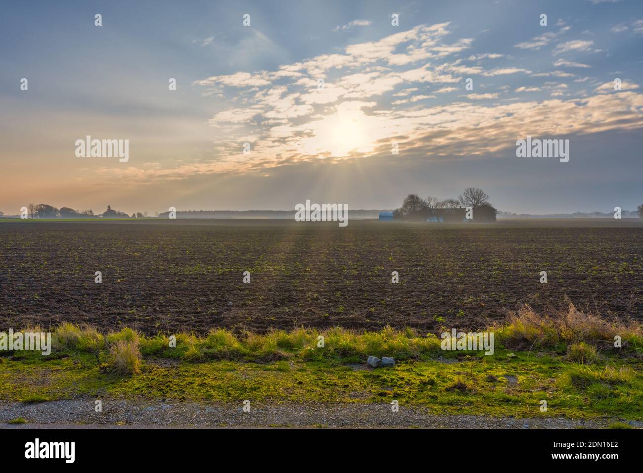 A backlit photo of a green and a newly plowed field. Picture from Scania county, southern Sweden Stock Photo