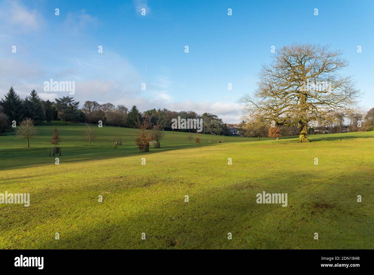 Warley park hires stock photography and images Alamy