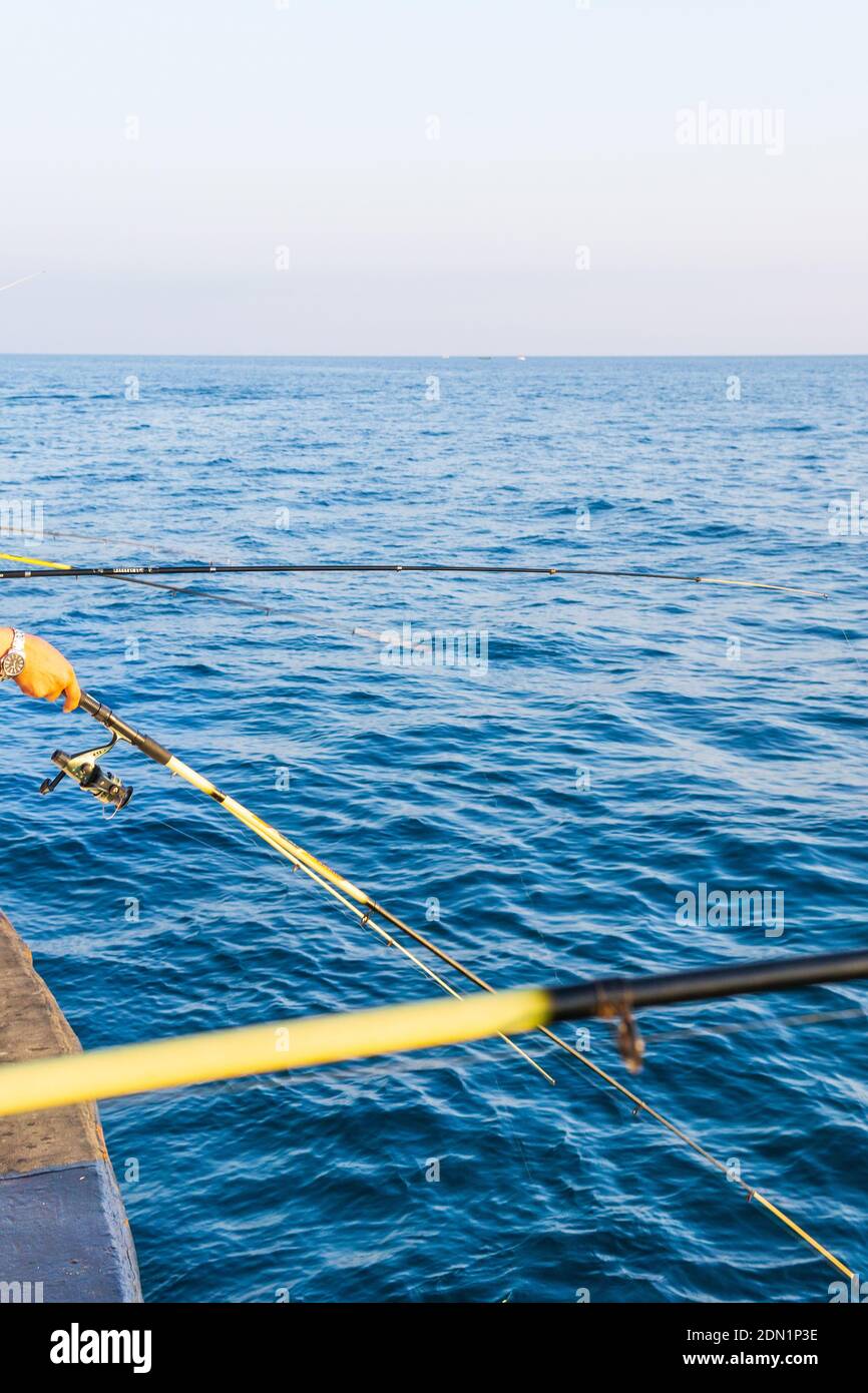 Fishing rod. Fishing tackle. Fishing spinning reel. Soft lighting. selective focus copyspace Stock Photo