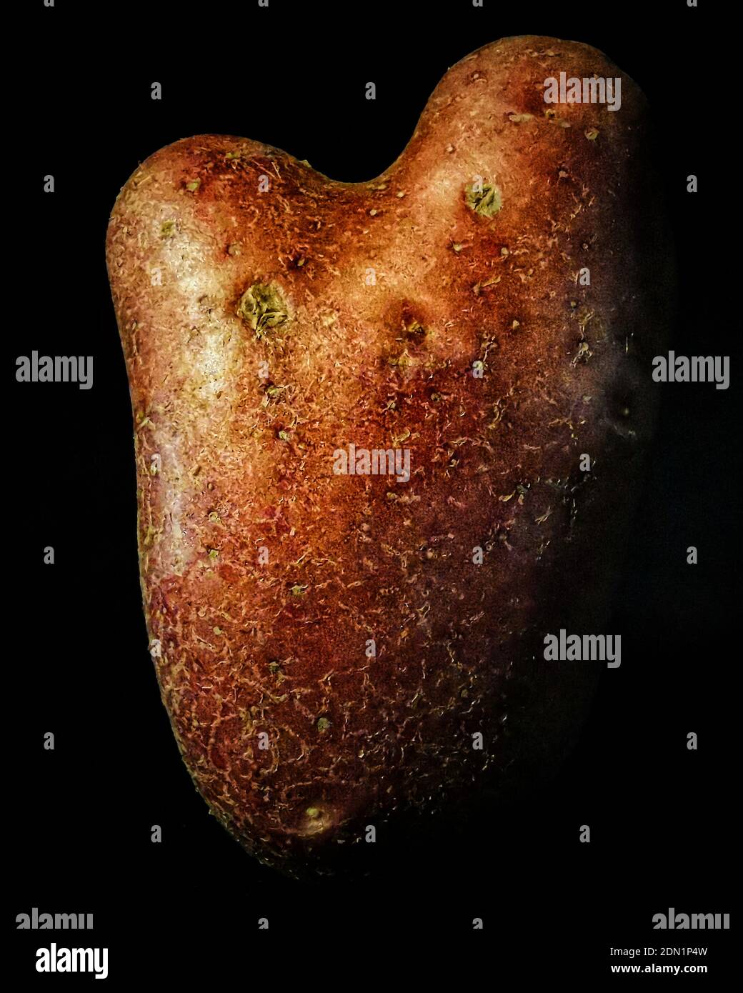 Patato food hi res stock photography and images Alamy Patato food hi res stock photography and images Alamy