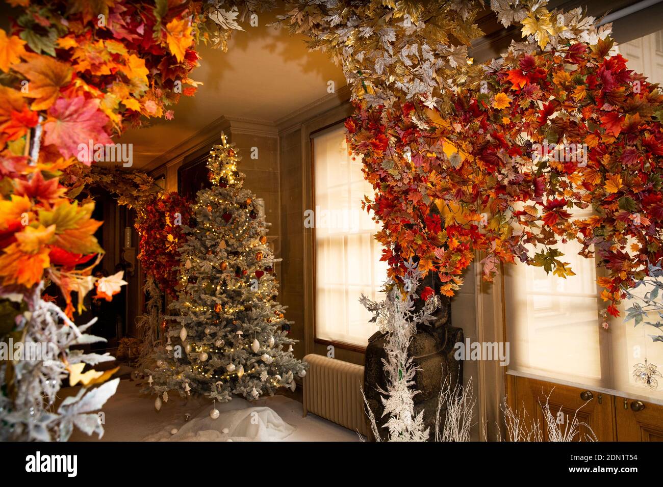 UK, England, Derbyshire, Edensor, Chatsworth House at Christmas, Lands Far Away, Canada, frosted tree and winter maple leaf display Stock Photo