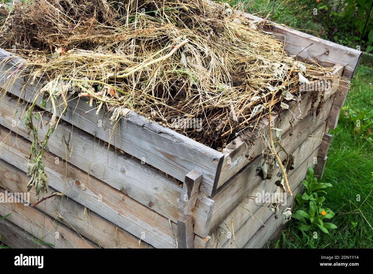 The organic plant remains from the garden will eventually turn into ...