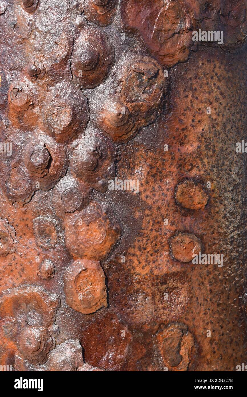 Close-up of rusted metal harbor mooring post with barnacles, pitted ...
