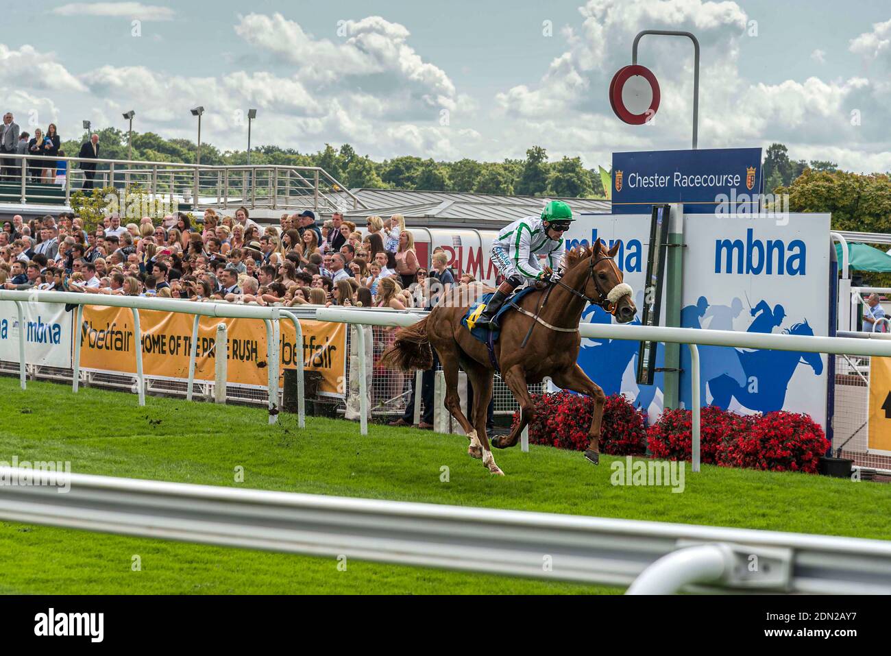 Racehorse passing the winning post at Chester Rodee racecourse. Stock Photo