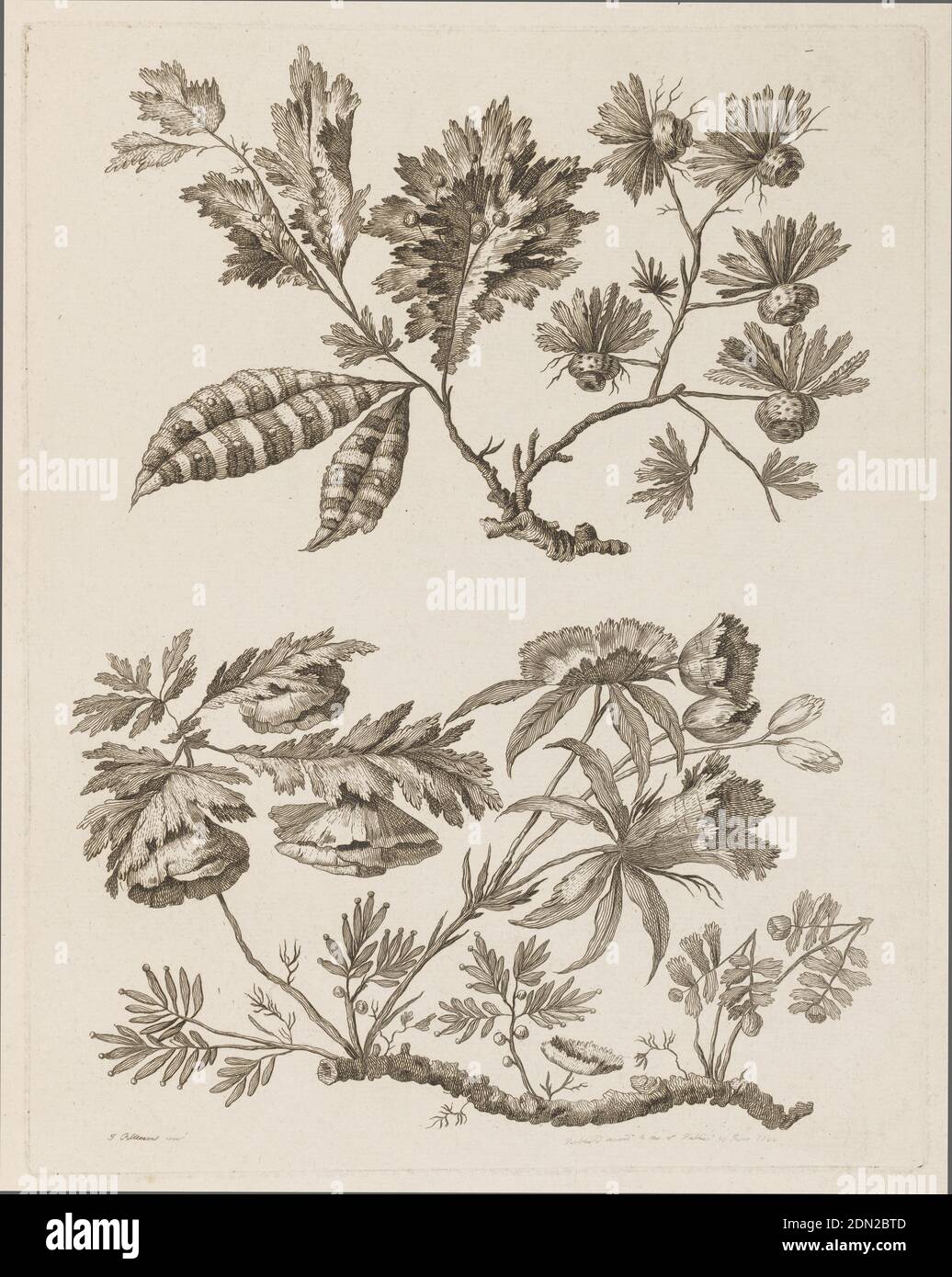 Flower Boughs, from 'Recueil de Differentes Fleurs de Fantaisie Dans le ...